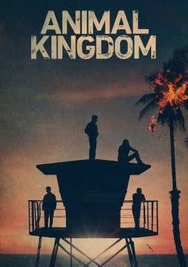 Animal Kingdom - Staffel 6